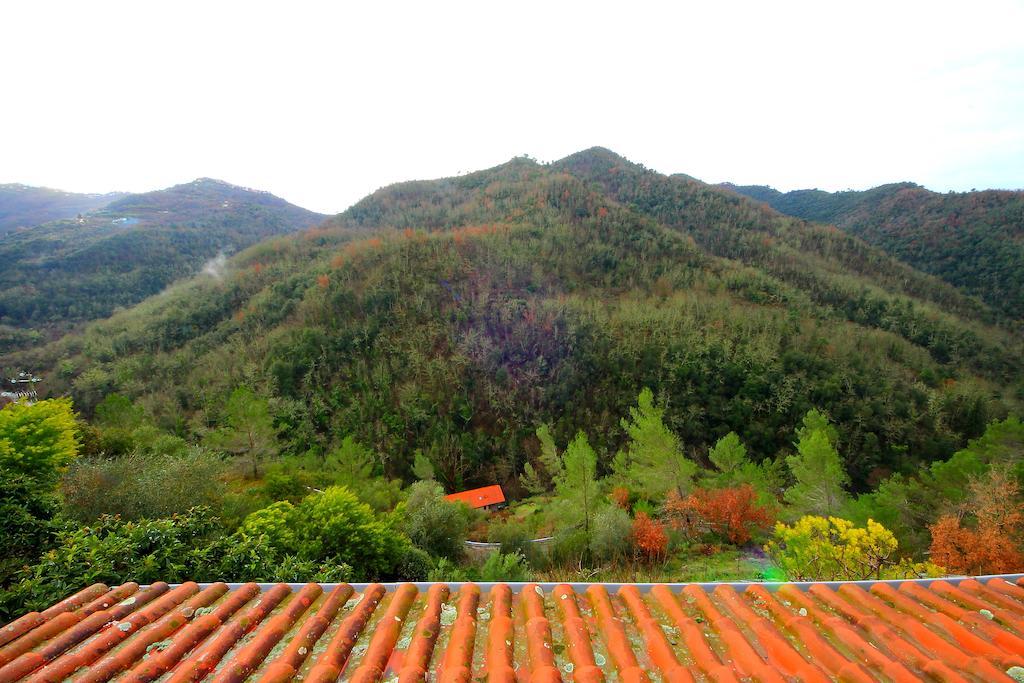 La Favorita Apricale B&B & Ristorante Room photo